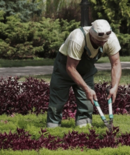 Pielęgnacja ogrodów